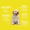 Legends Puppies & Junior Dogs Dry Food 2kg