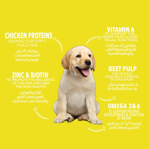 Legends Puppies & Junior Dogs Dry Food 2kg