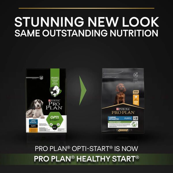 Pro Plan Large Athletic Puppy Dogs Dry Food - 12kg