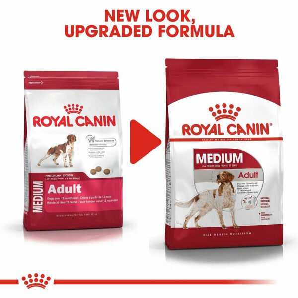 Royal Canin Medium Adult Dogs Dry Food - 4kg