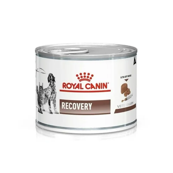 Royal Canin Recovery (195 gm) – Wet food for Convalescence Intensive Care